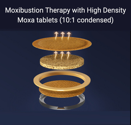 Méthode de culture par plantation artificielle Cinq comprimés de moxibustion pour la santé