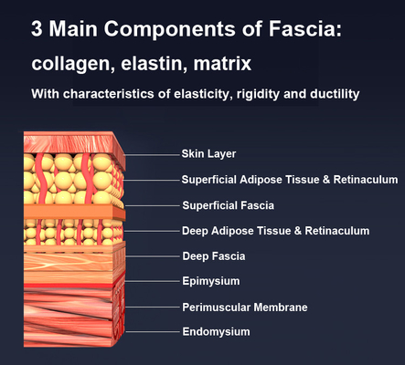 Massageur de fascia multifonctionnel avec chauffage EMS et bouton de commande de la thérapie de lumière rouge